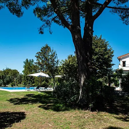 Bed & Breakfast Terre Etrusche Guest House-terme -3 Minuti Da Centro Viterbo